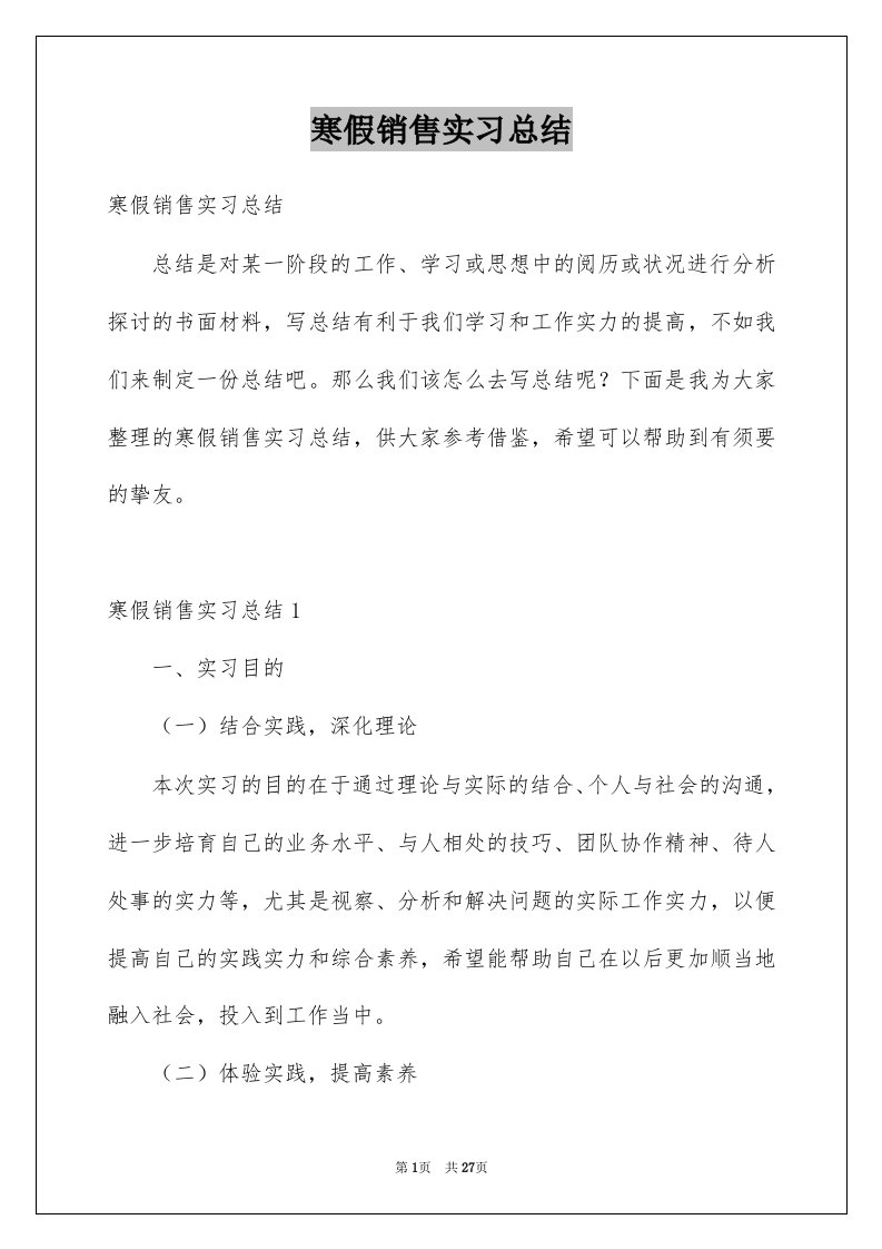 寒假销售实习总结例文