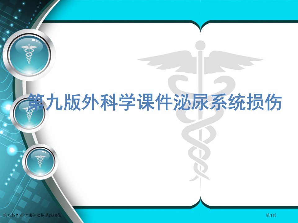 第九版外科学课件泌尿系统损伤PPT培训课件