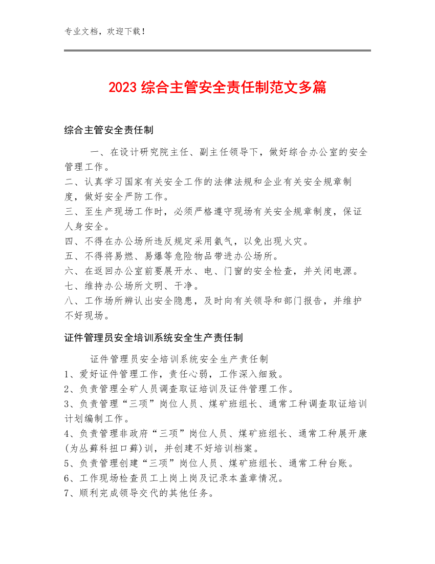 2023综合主管安全责任制范文多篇