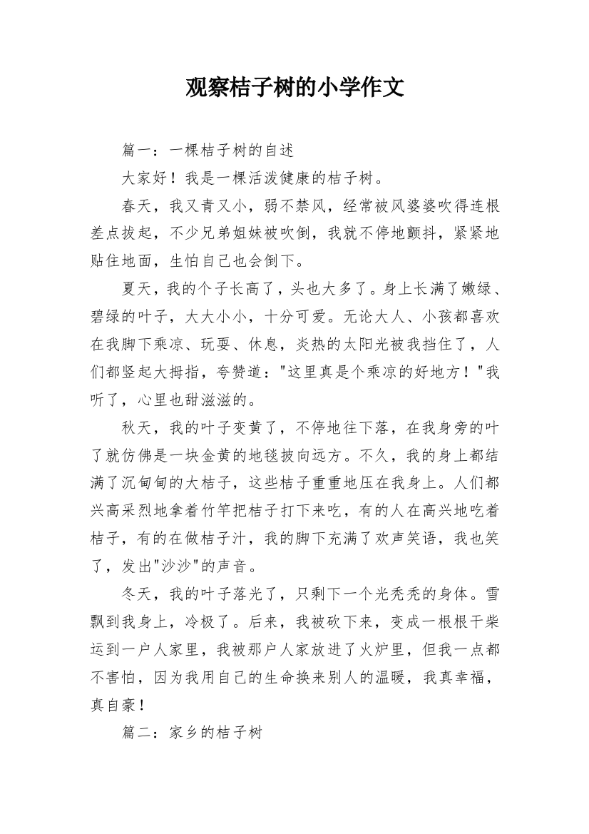 观察桔子树的小学作文