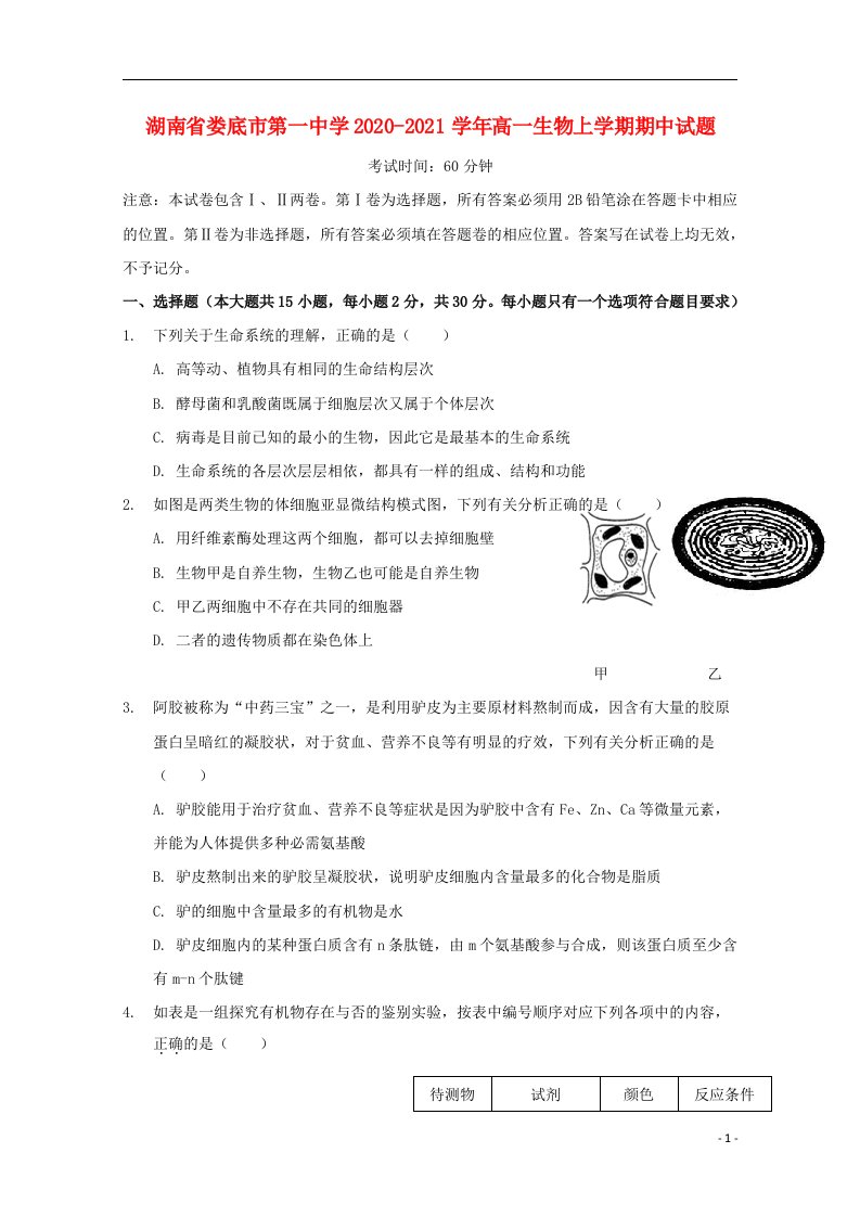 湖南省娄底市第一中学2020_2021学年高一生物上学期期中试题