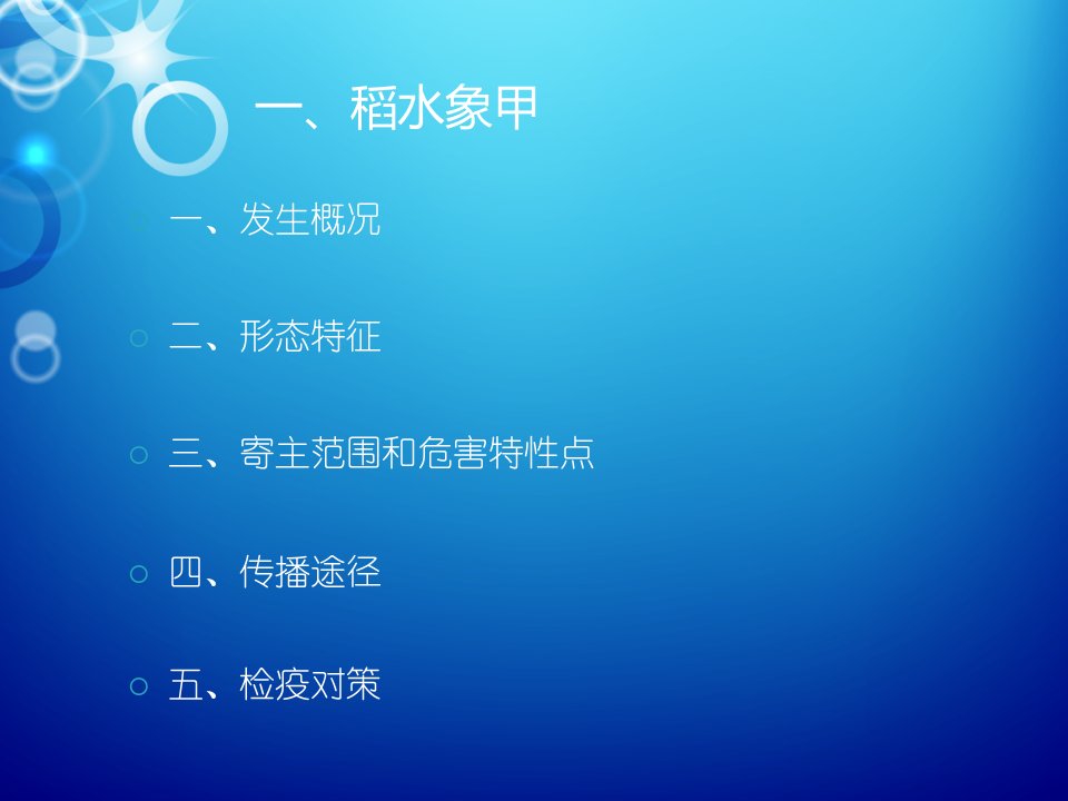 检疫性鞘翅目害虫——稻水象甲论述