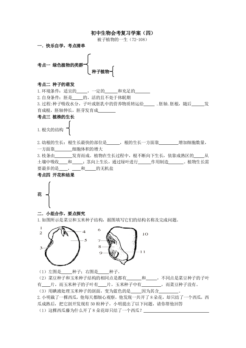 复习学案（被子植物的一生）