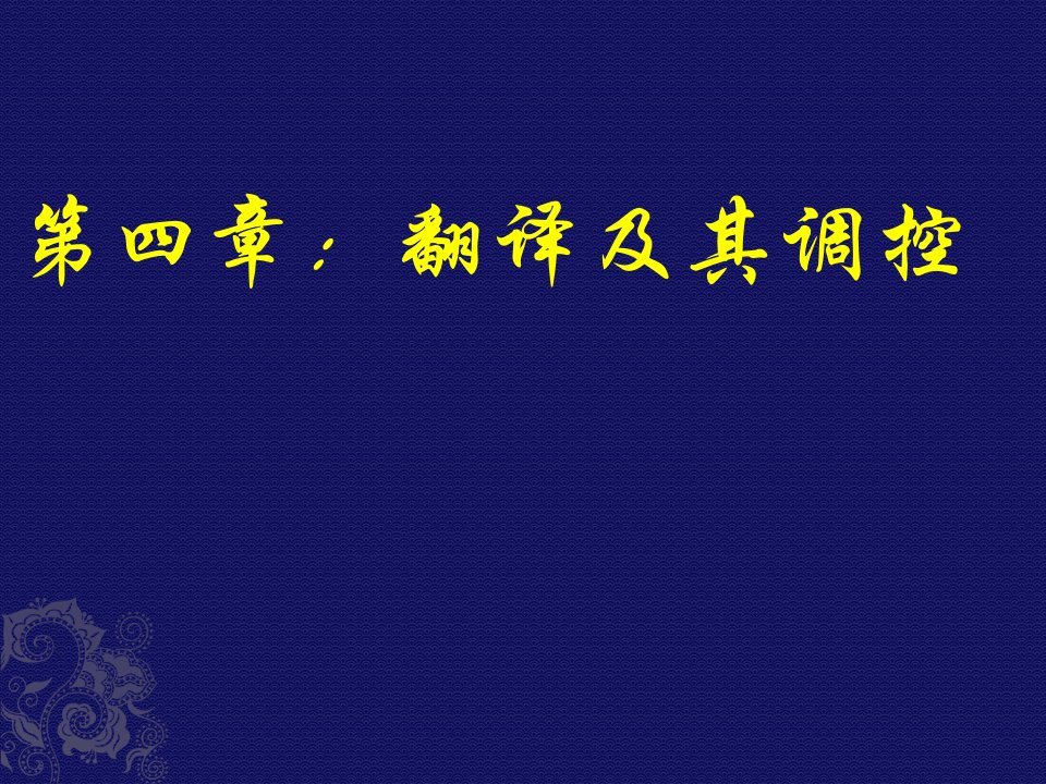 蛋白质的生物合成张敏