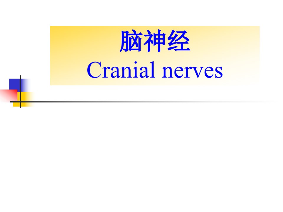 颅神经本科教学