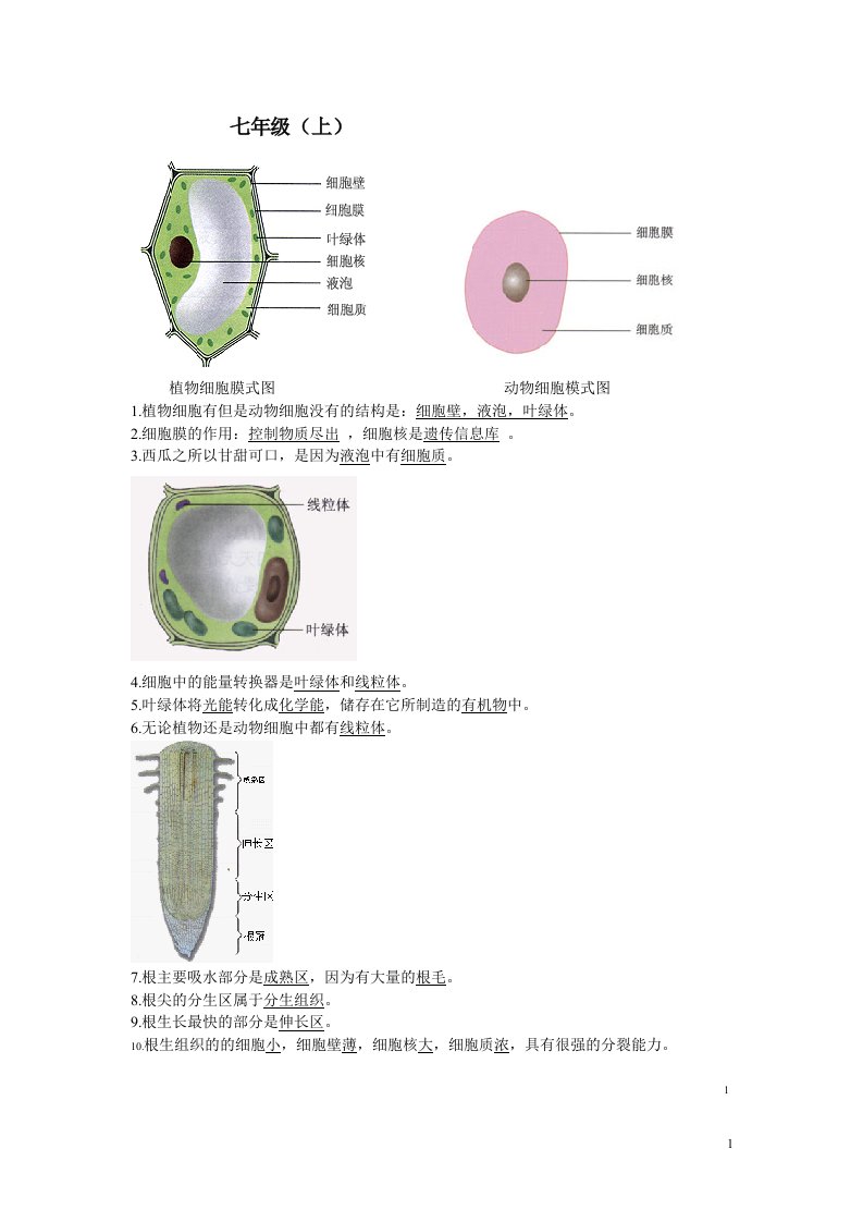 人教版初中生物中考复习图专题.