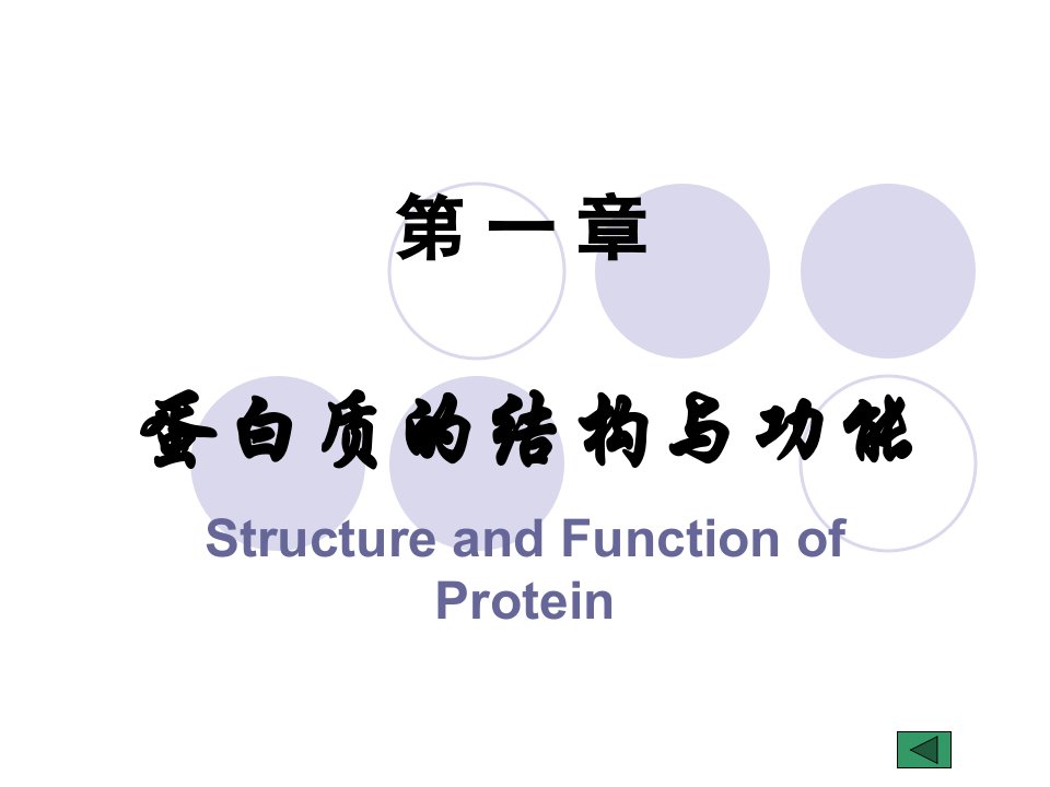 蛋白质的结构与功能