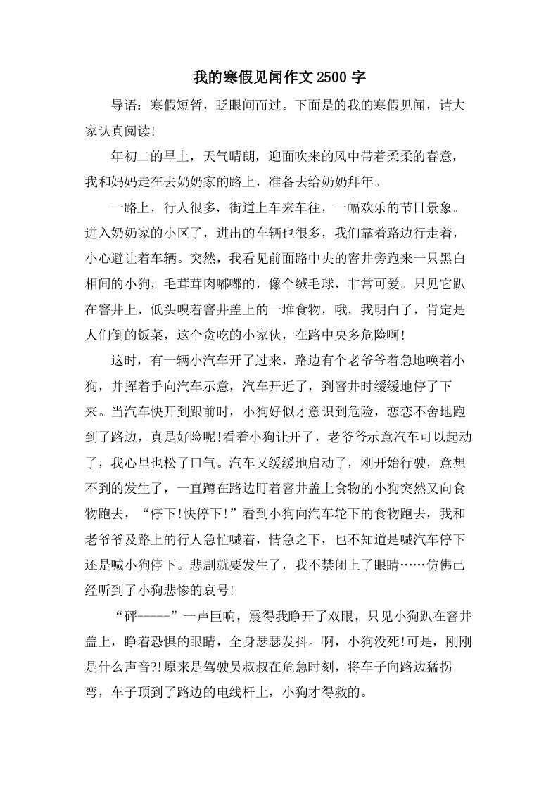 我的寒假见闻作文2500字