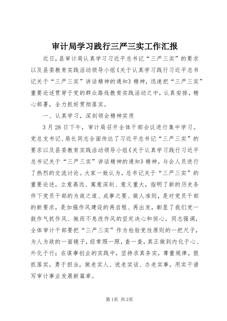 5审计局学习践行三严三实工作汇报