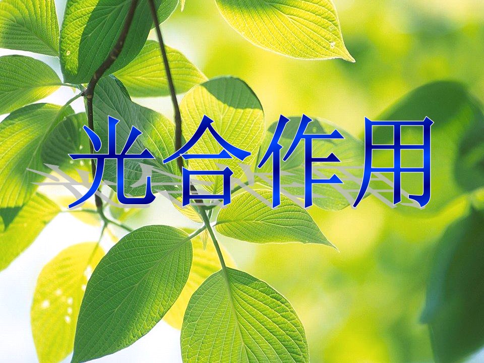 苏教版教学素材高中生物必修光合作用