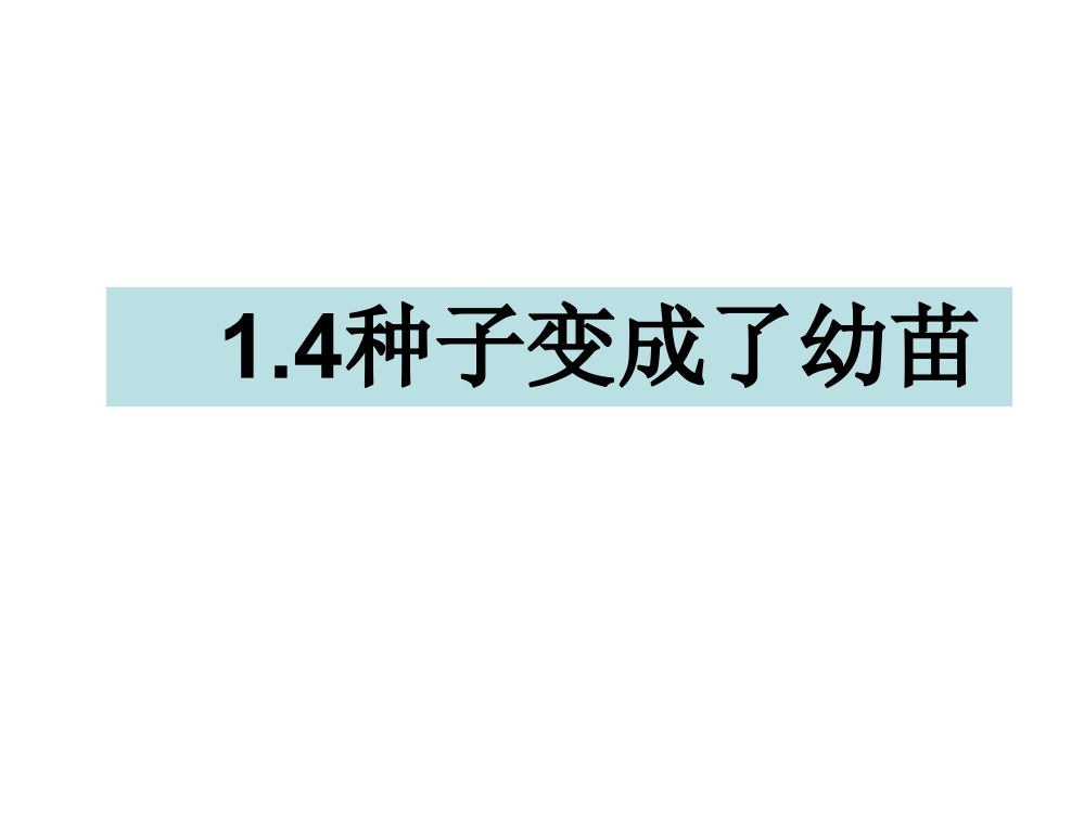 三年级下册科课件-1.4种子变成了幼苗