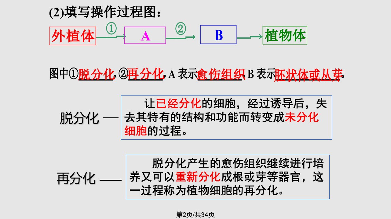 一轮复习细胞工程专题