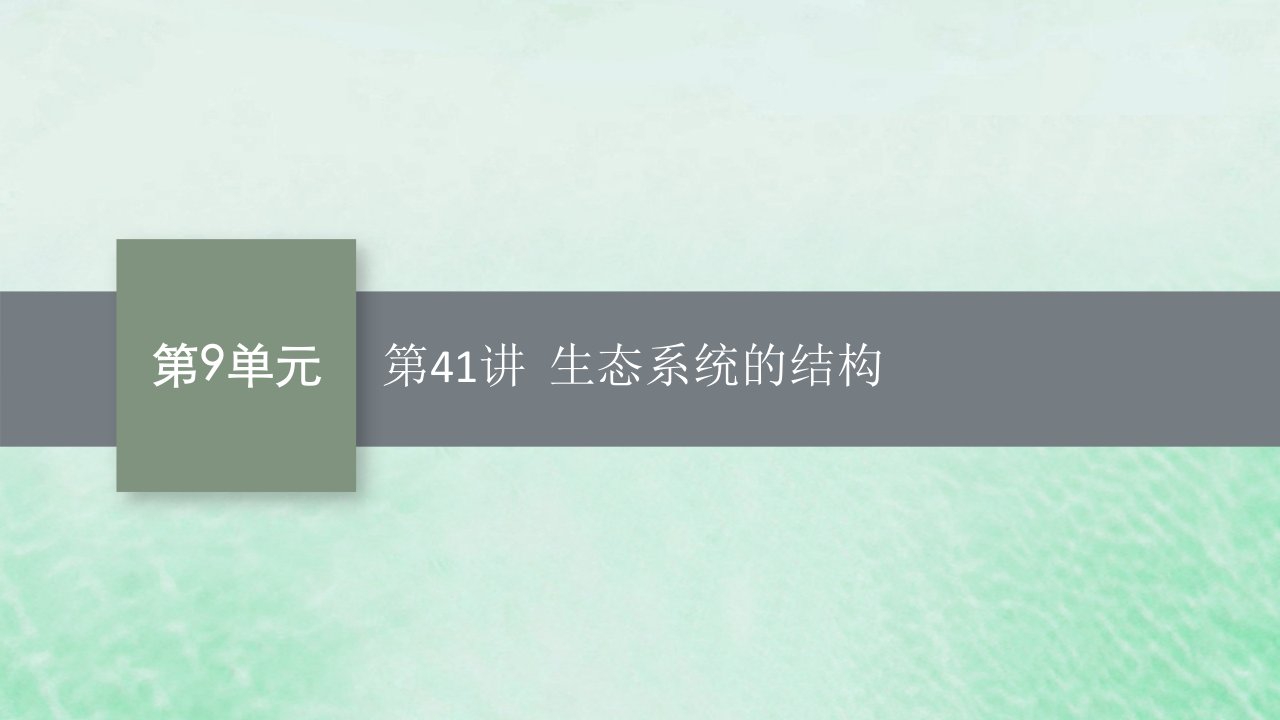 适用于新教材2024版高考生物一轮总复习第9单元生物与环境第41讲生态系统的结构课件新人教版