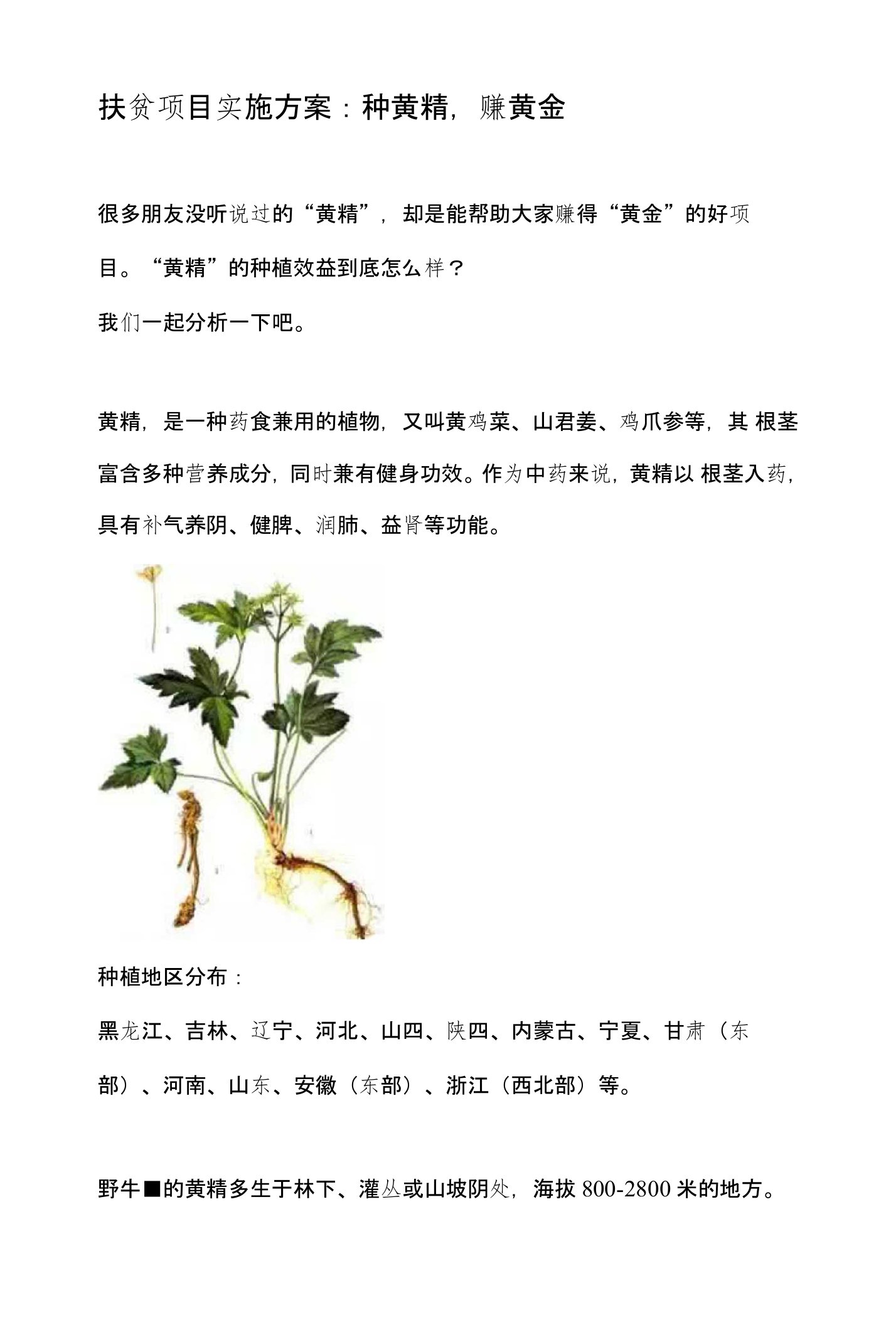 扶贫项目实施方案：种黄精，赚黄金