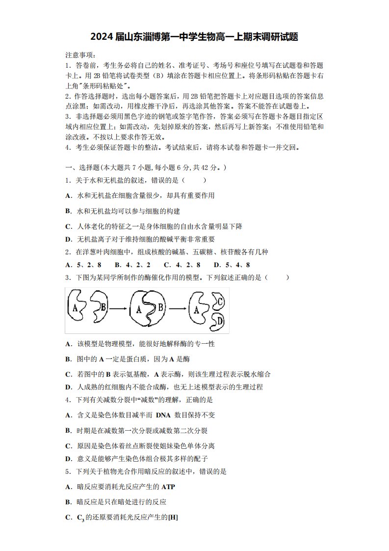 2024届山东淄博第一中学生物高一上期末调研试题含解析