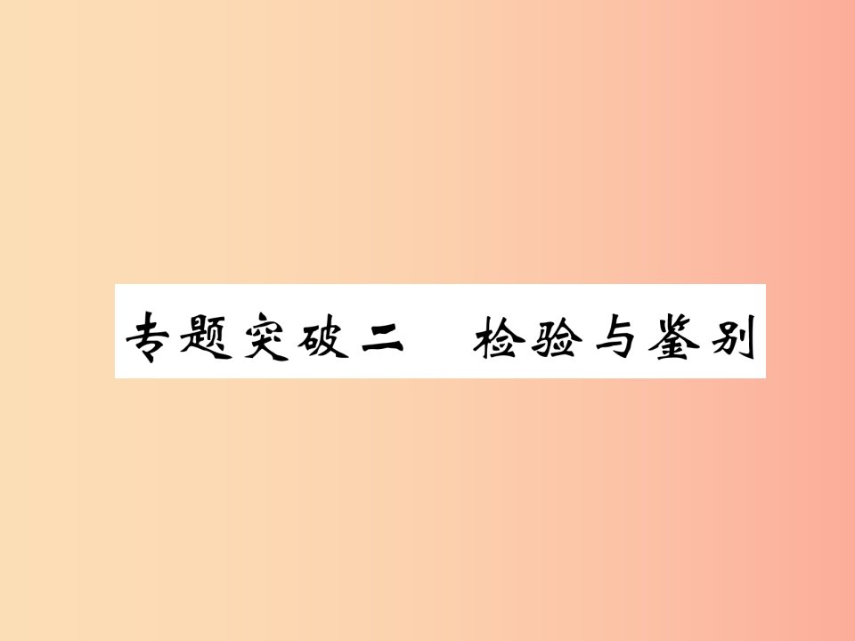 （百色专版）2019届中考化学复习