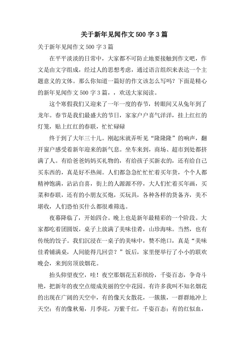 关于新年见闻作文500字3篇