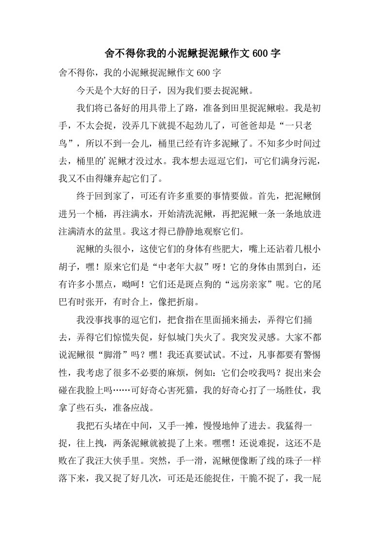 舍不得你我的小泥鳅捉泥鳅作文600字