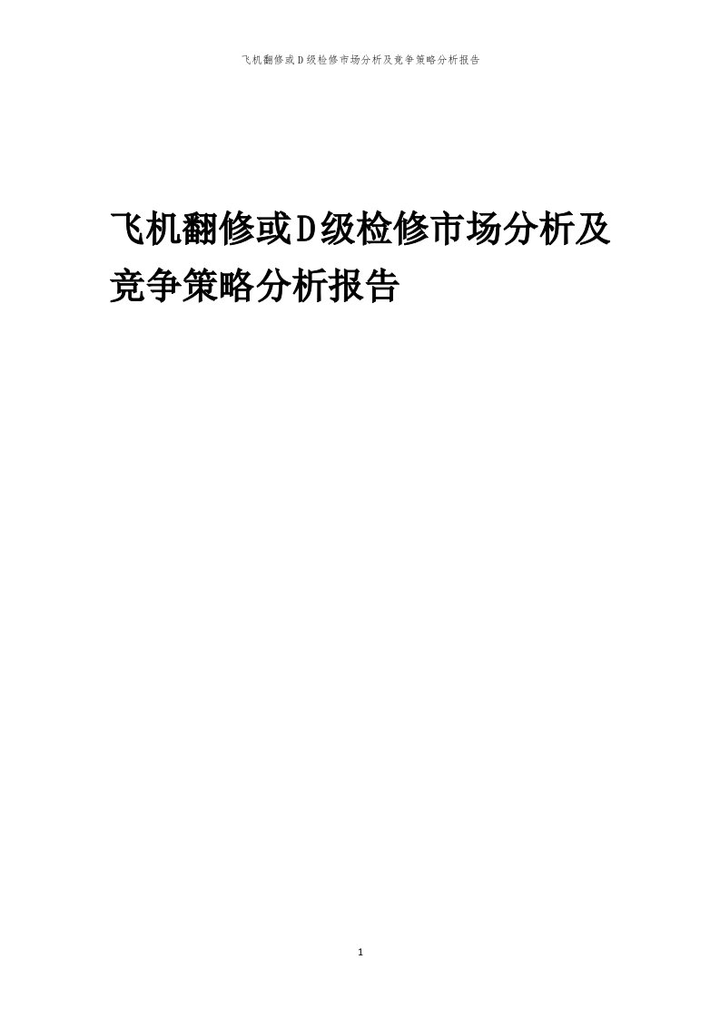 年度飞机翻修或D级检修市场分析及竞争策略分析报告