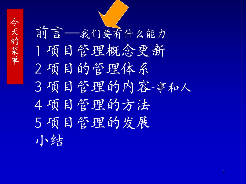 某新项目管理大纲