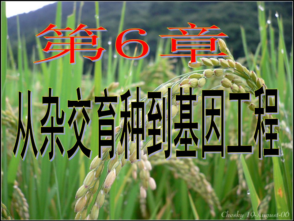 生物科技-必修二生物第6章第一节