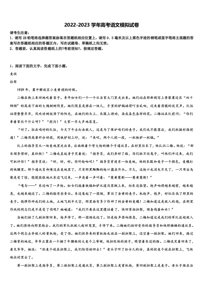 上海丰华中学2023年高三第二次诊断性检测语文试卷含解析