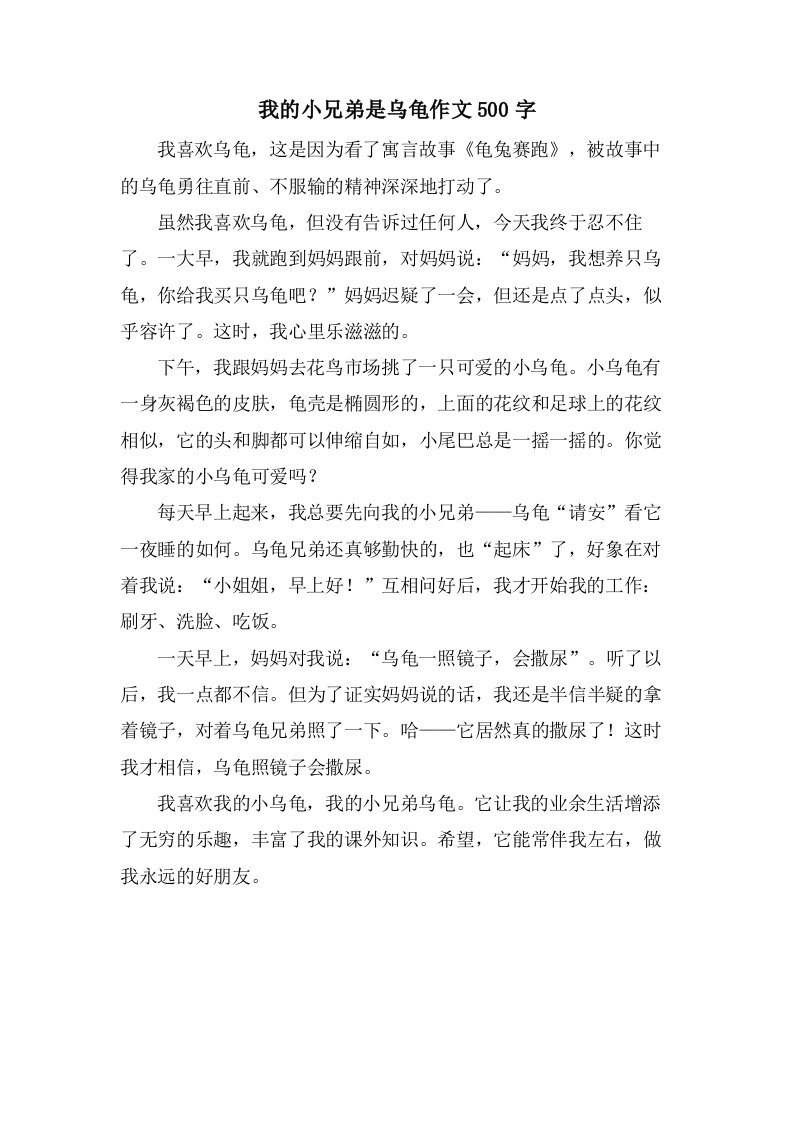 我的小兄弟是乌龟作文500字