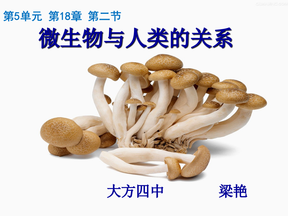 微生物与人类关系（修改后）