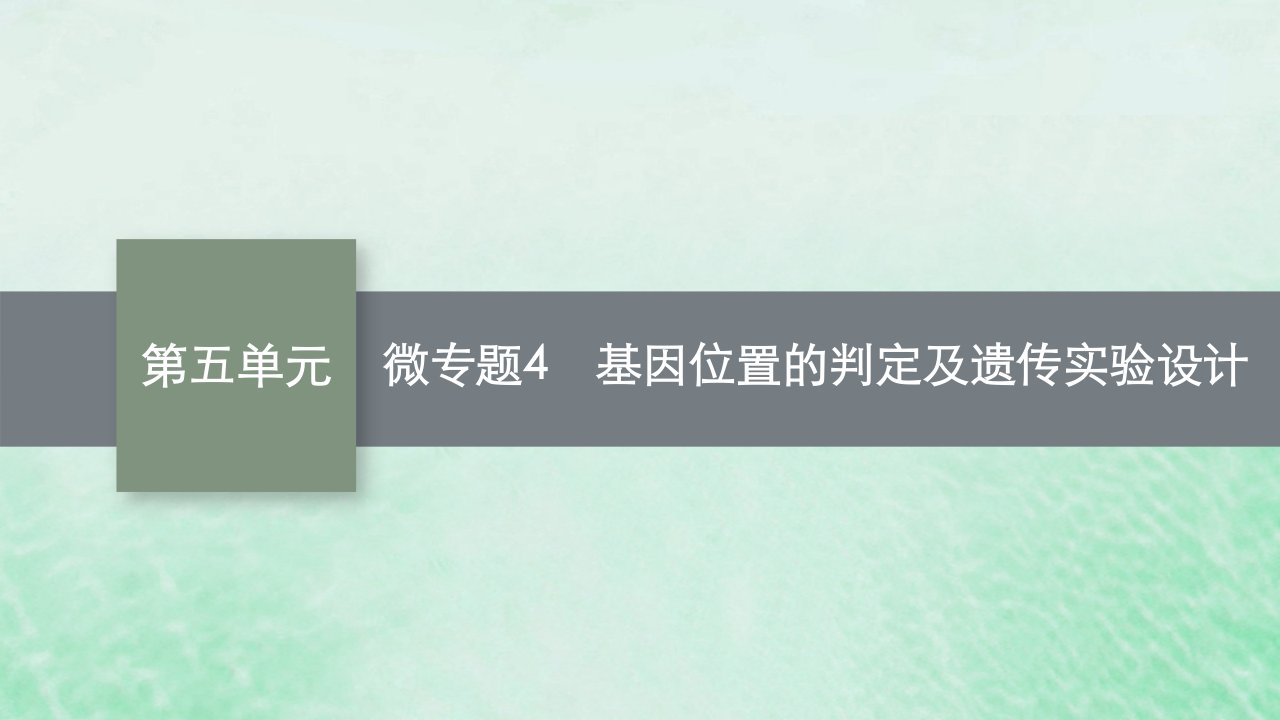 适用于老高考旧教材2024版高考生物一轮总复习第五单元遗传的基本规律微专题4基因位置的判定及遗传实验设计课件新人教版