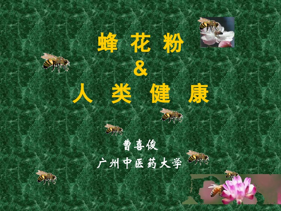 蜂花粉与人类健康