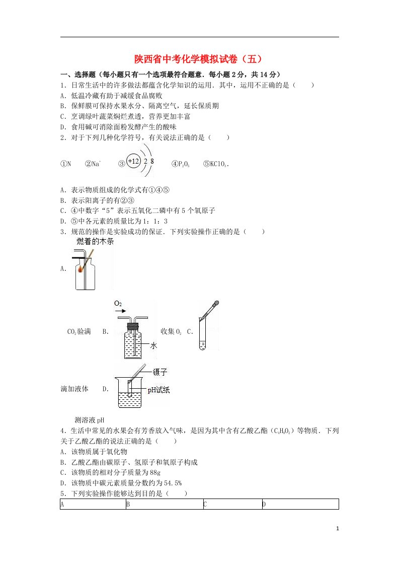 陕西省中考化学模拟试题（五）（含解析）