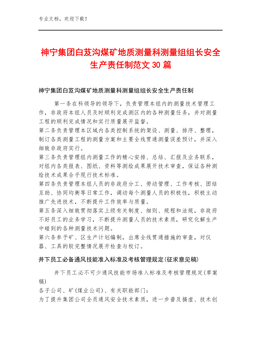 神宁集团白芨沟煤矿地质测量科测量组组长安全生产责任制范文30篇