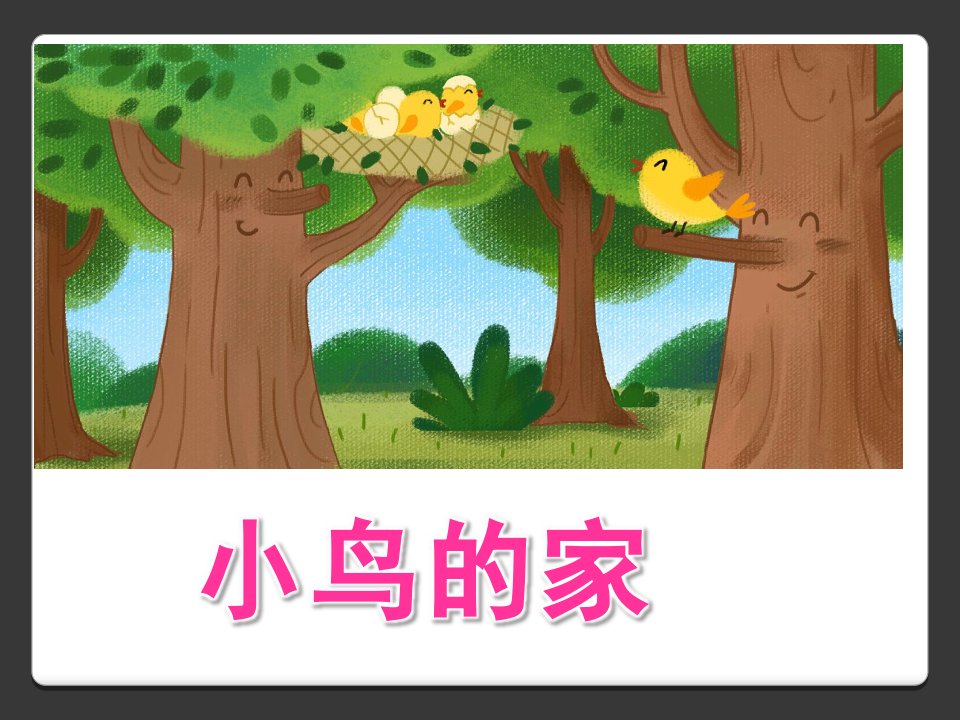 幼儿园《小鸟的家》PPT课件小鸟的家课件