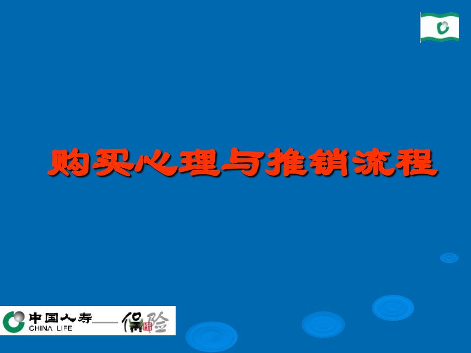 购买心理与推销流程