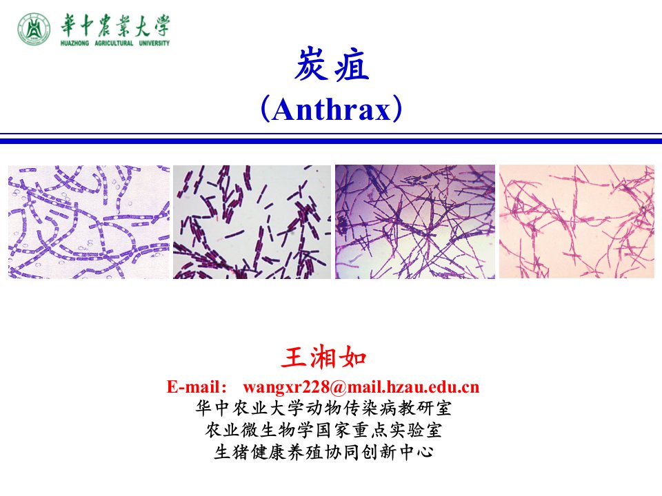 (动物传染病学课件）炭疽