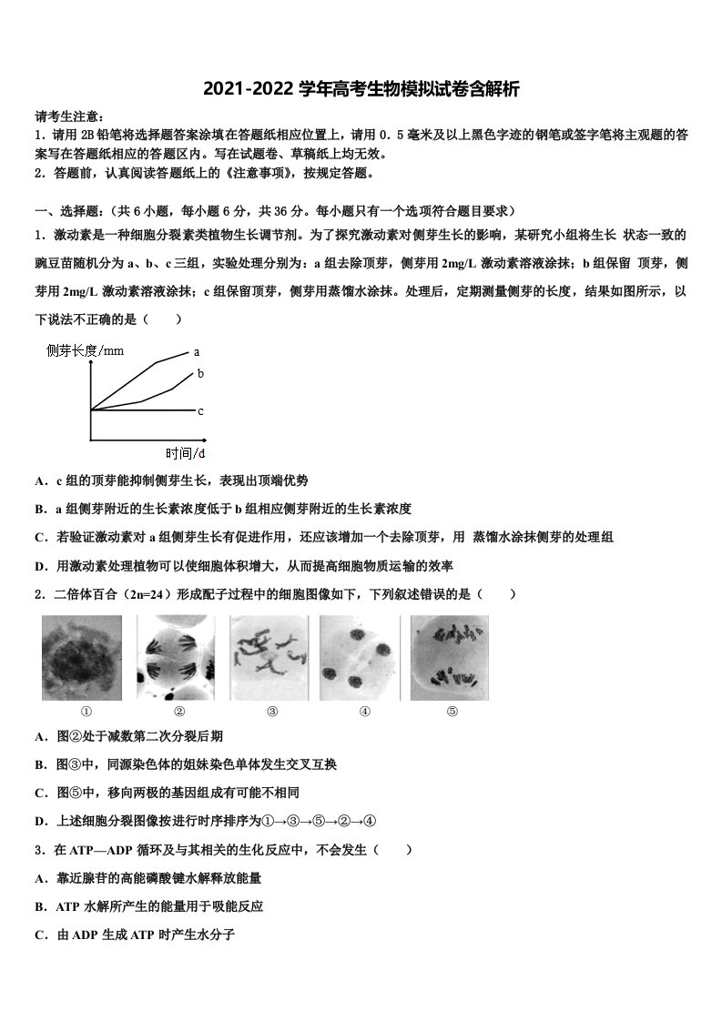 湖南省石门县第二中学高三第六次模拟考试生物试卷含解析