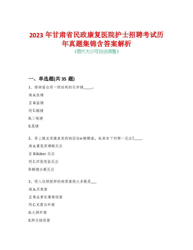 2023年甘肃省民政康复医院护士招聘考试历年真题集锦含答案解析-0