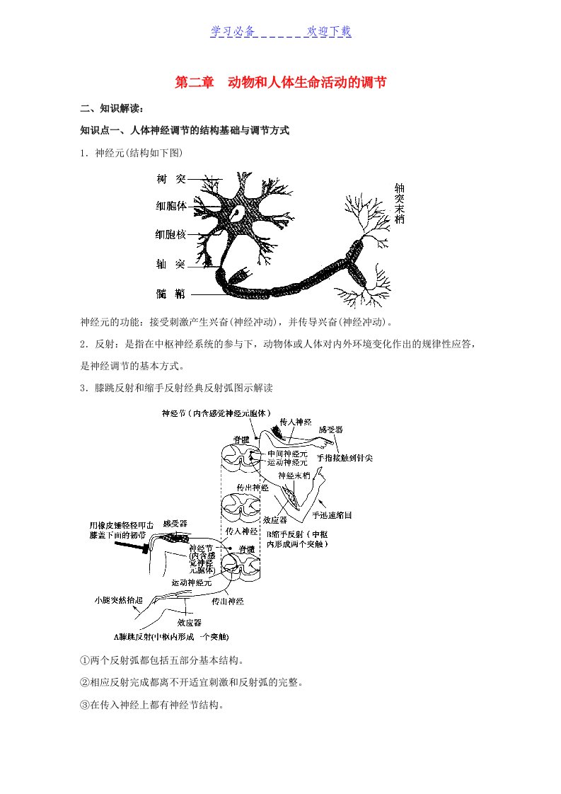 高中生物第二章动物和人体生命活动的调节期末知识梳理新人教版必修