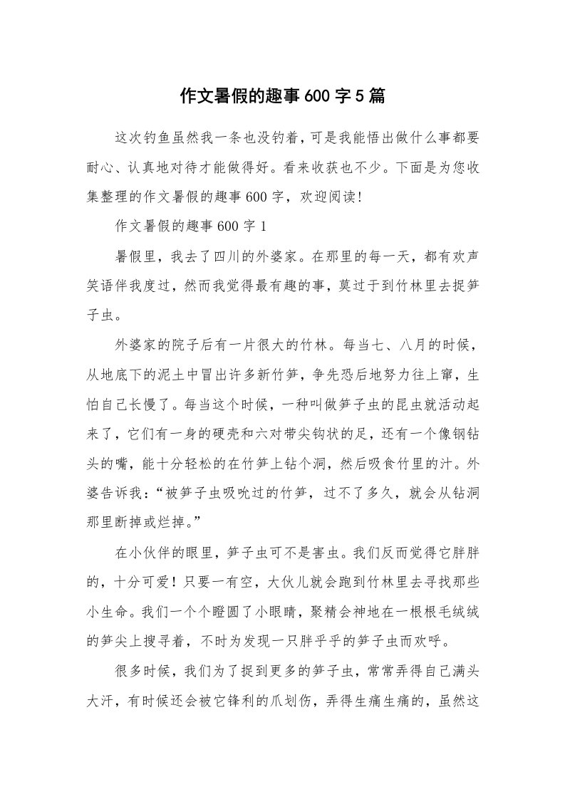 作文暑假的趣事600字5篇