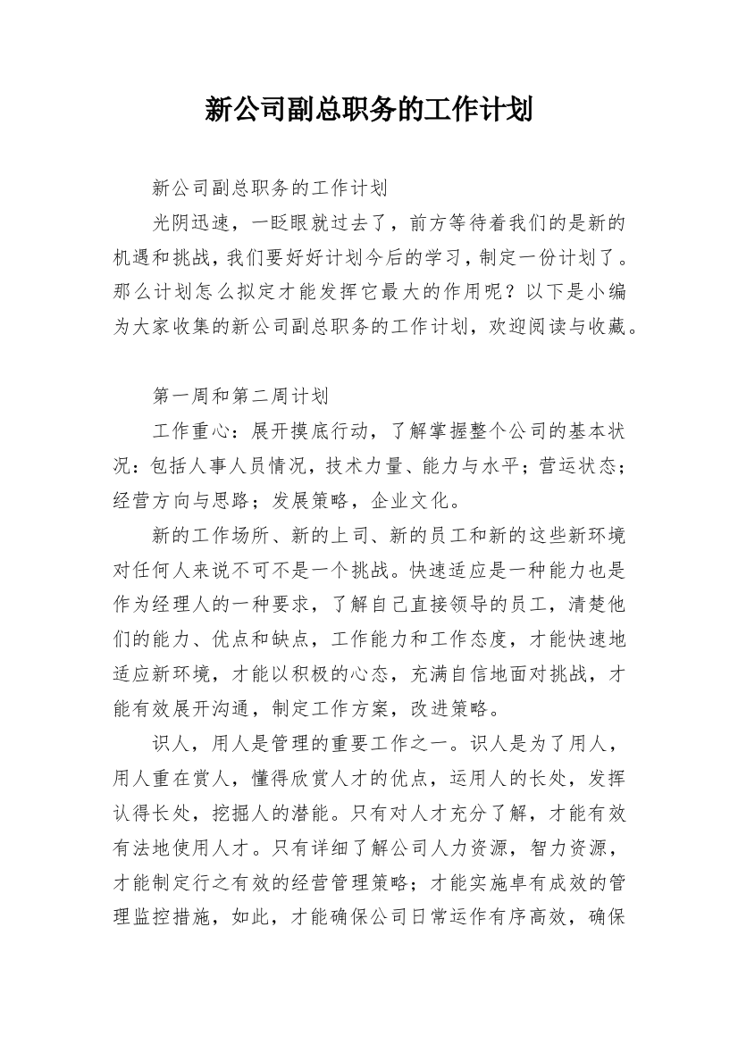 新公司副总职务的工作计划