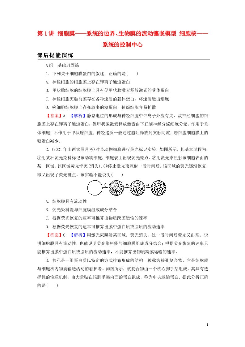 2022届高考生物一轮复习第2单元细胞的结构与物质的输入和输出第1讲细胞膜__系统的边界生物膜的流动镶嵌模型细胞核__系统的控制中心课后练习含解析新人教版