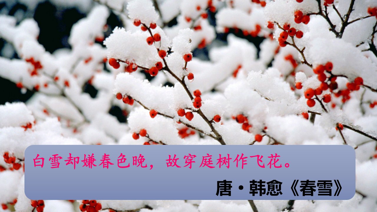 沁园春雪上课