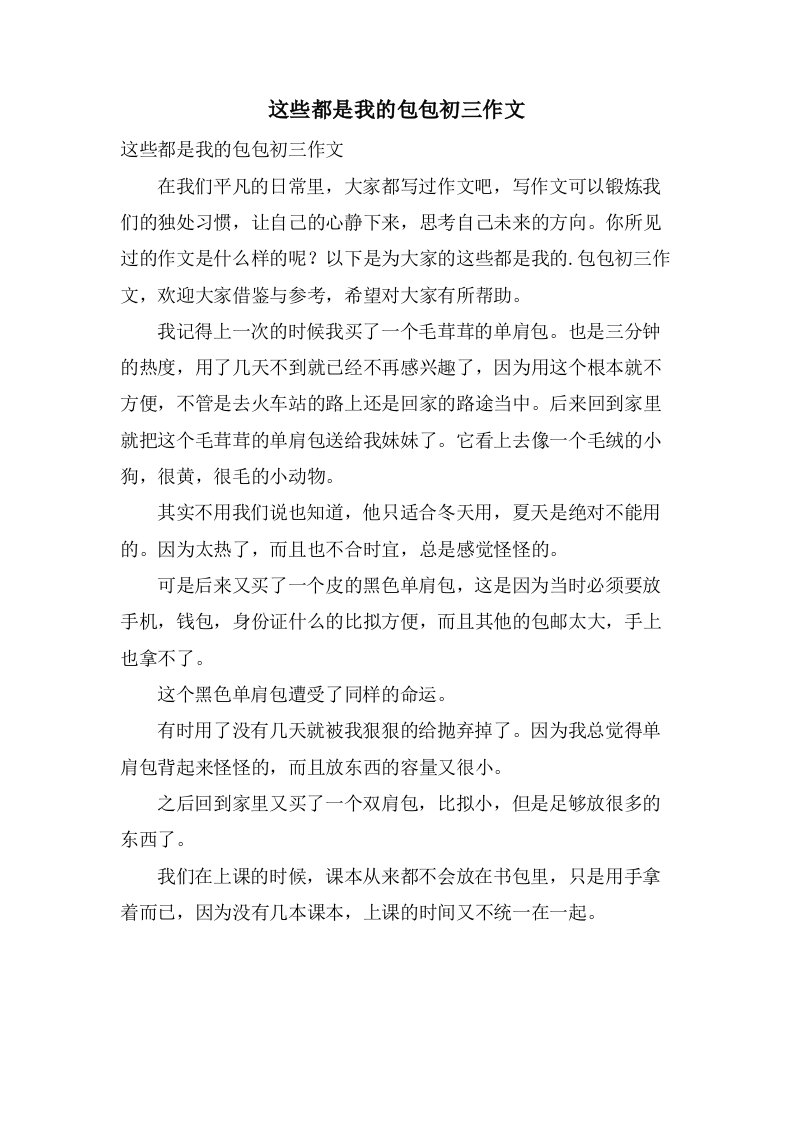 这些都是我的包包初三作文