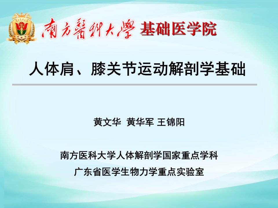 人体肩关节、膝关节运动解剖学基础