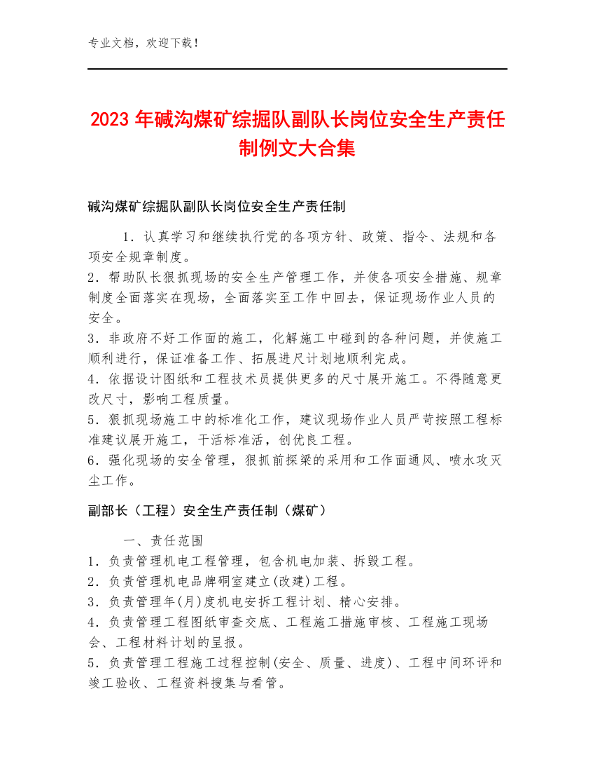 2023年碱沟煤矿综掘队副队长岗位安全生产责任制例文大合集