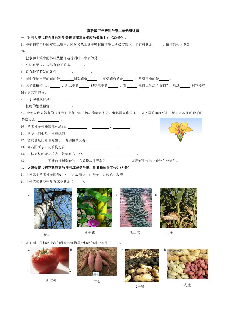 苏教版三年级下册科学第二单元测试题