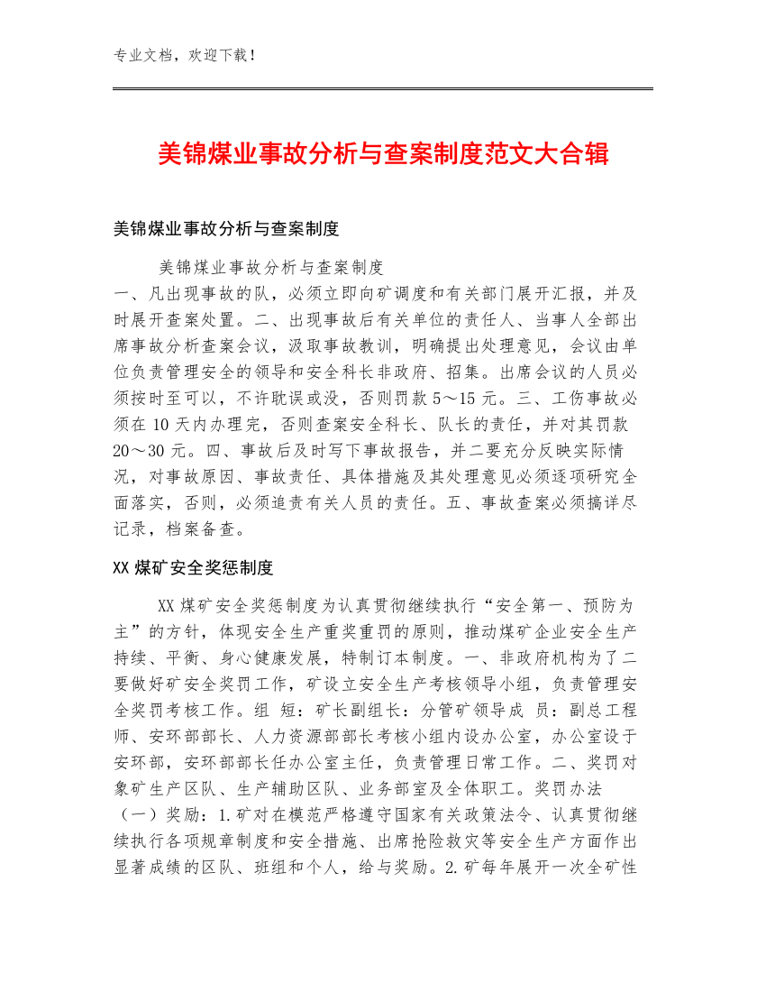 美锦煤业事故分析与查案制度范文大合辑