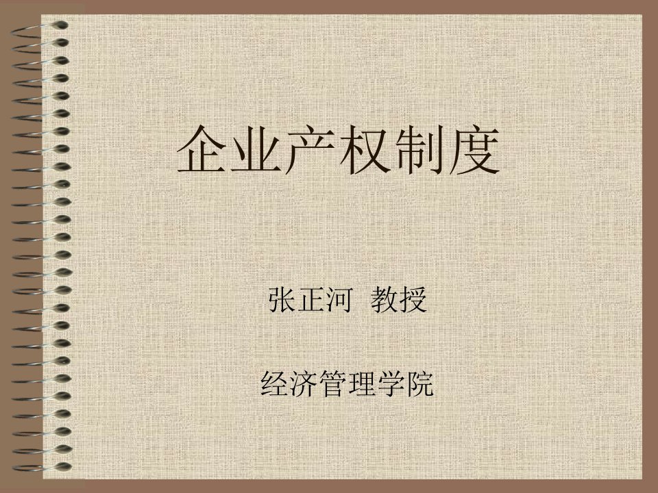 企业产权制度（ppt44)-其它制度表格