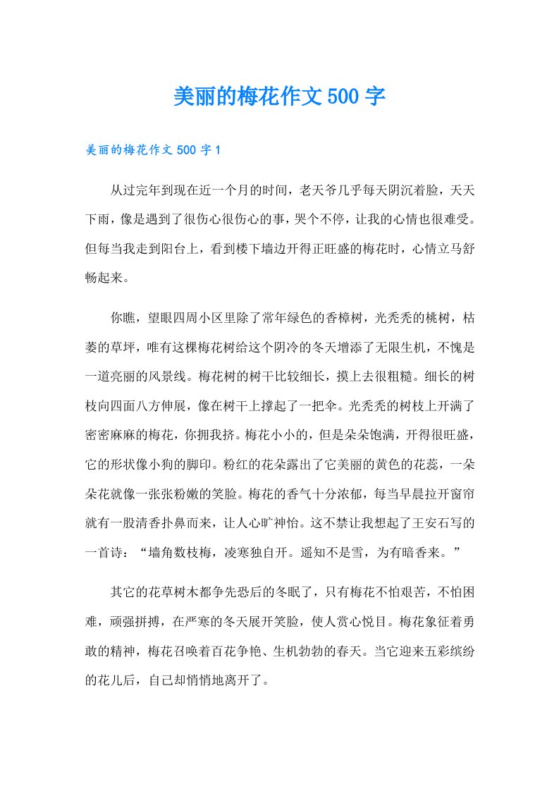 美丽的梅花作文500字