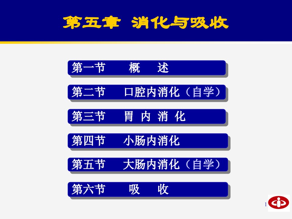 生理学第六章小肠内消化和吸收ppt课件